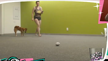 Bouncy-naturals Braless Twitch Streamer Plays With Doggo